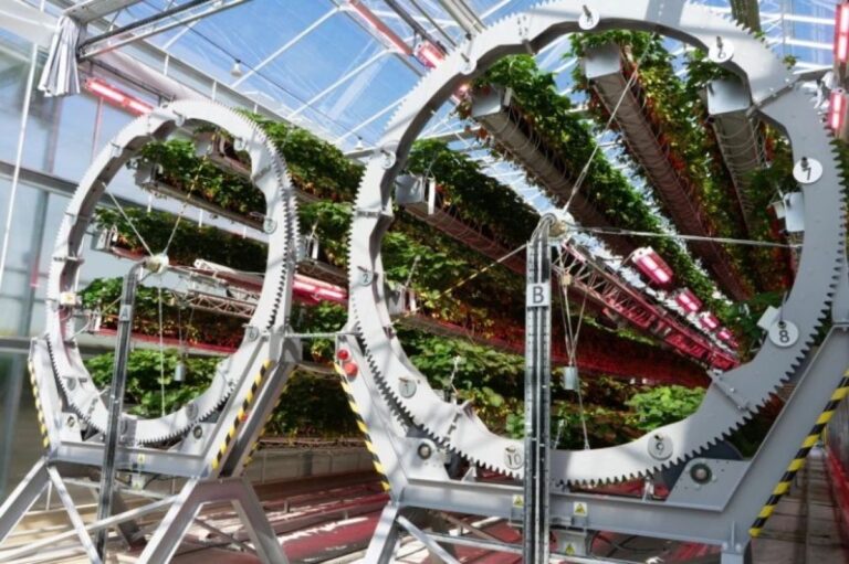 掃除機の技術が役に立つ！ダイソンが未来型イチゴ栽培を始動