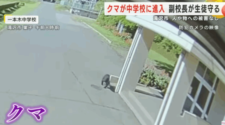 生徒「助けて、熊が出た！」→副校長「隠れていろ、ギロ(熊を睨む)」副校長、熊の前に立ちはだかり生徒を逃がす