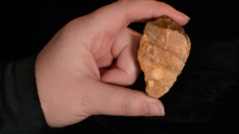 インドネシアで100万年前の石器発見、フローレス島の“ホビット”との関係も