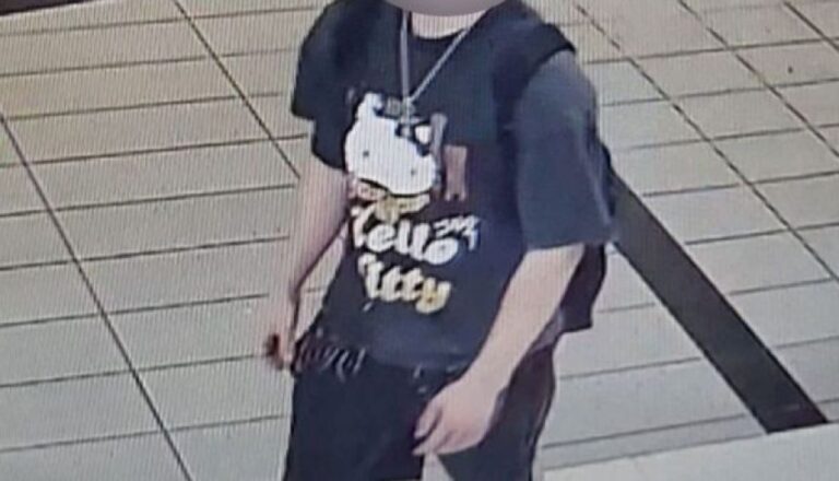ハローキティーのTシャツを着た十代男性だけが立ち向かい、襲われていた女性を助ける