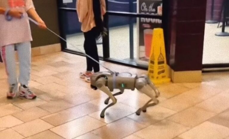 安心して欲しい、リードはついてる！ロボット犬がショッピングモールを散歩していた件