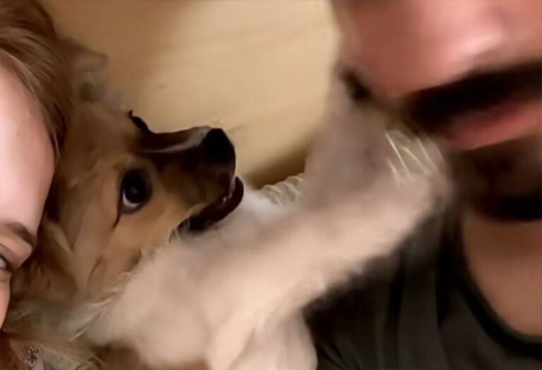 ママだけがいいの。パパはあっちいって！近づかれると全力拒否する子犬