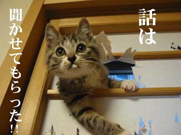 【眠気誘導】画像で笑ったらそのまま寝ろｗｗｗ