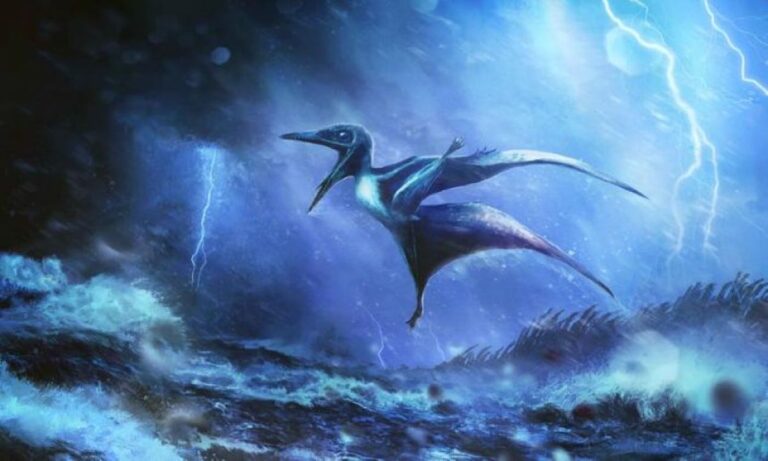 2体の翼竜の幼体の化石を発見。1億5000万年前の嵐で命を落としたことが明らかに