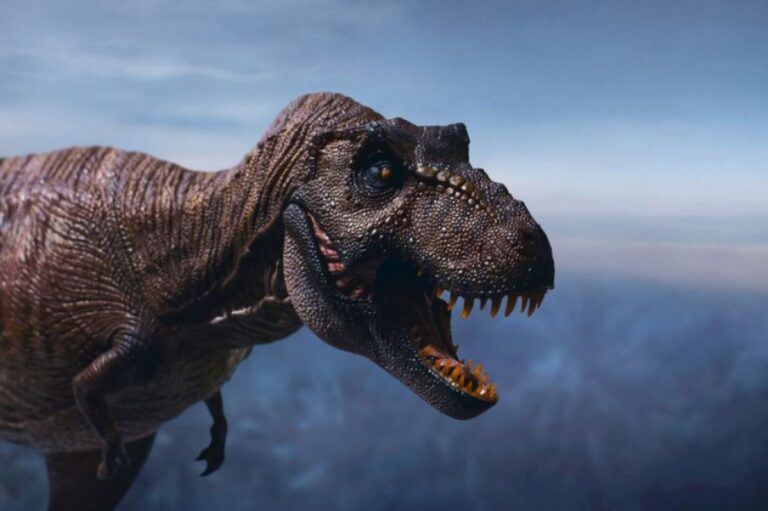 史上最大のティラノサウルスの骨の化石から血管を発見　恐竜の生態に新たな手がかり