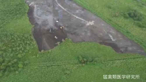 釧路湿原で違法にメガソーラー開発をしていた業者、ガチでヤバいことを言い始める
