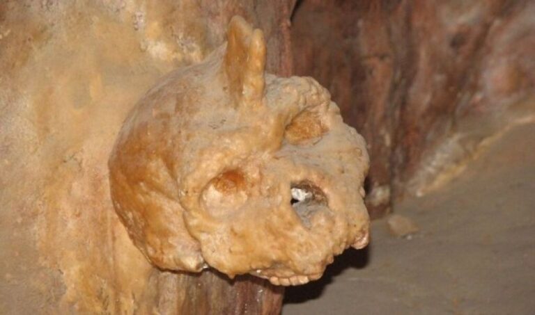 ギリシャ洞窟で発見された30万年前の頭蓋骨、現生人類でもネアンデルタール人でもなかった