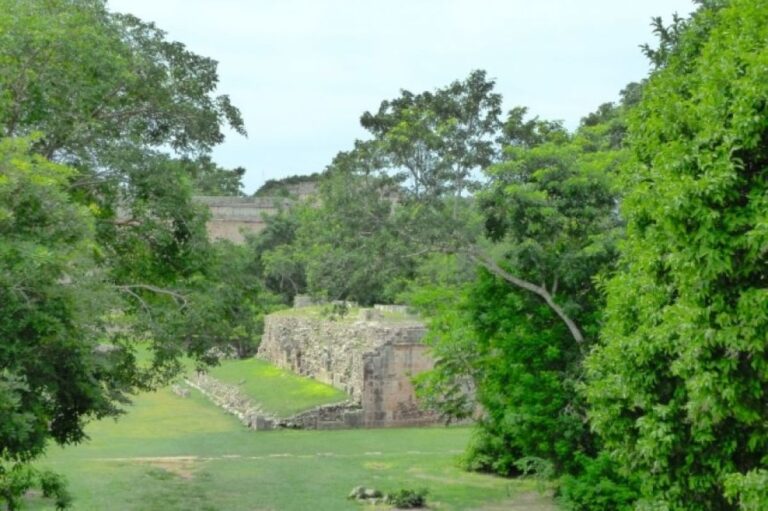 失われたマヤ文明の都市「白いジャガーの地」を特定、300年以上前の手紙が手掛かりに