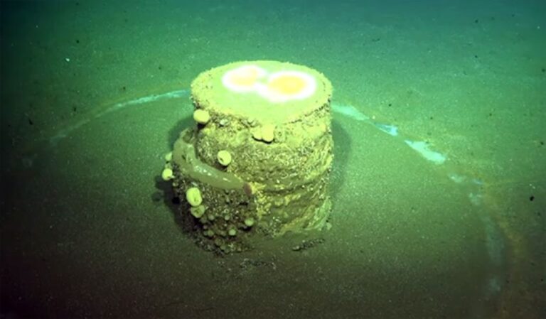 南カリフォルニア沖に投棄された化学物質の樽　周囲に広がる白い輪の正体が明らかに