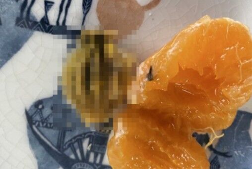 みかん食べようとしたら中から明らかヤバそうなの出てきた。これなに？→正体がこちら・・・