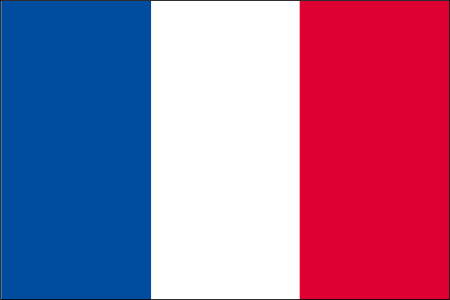 フランス、ガチで崩壊