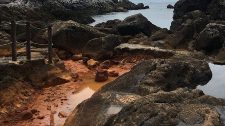 日本の温泉から、太古の地球に生きた微生物の生態系が明らかに