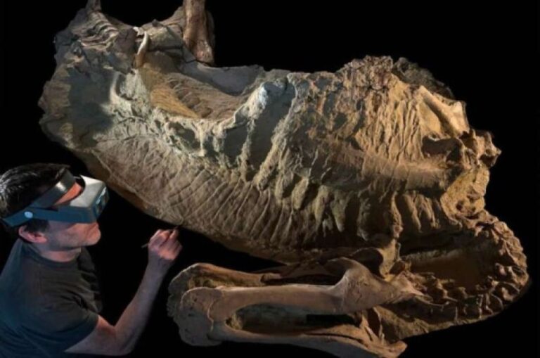 粘土層に保存された化石が、白亜紀の恐竜の本当の姿をリアルに蘇らせた