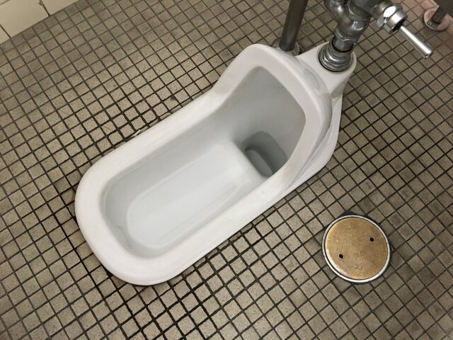 和式トイレの水洗レバー、「手で押す」？「足で踏む」？ お前らは、どっち？ なお、正しい使い方は…