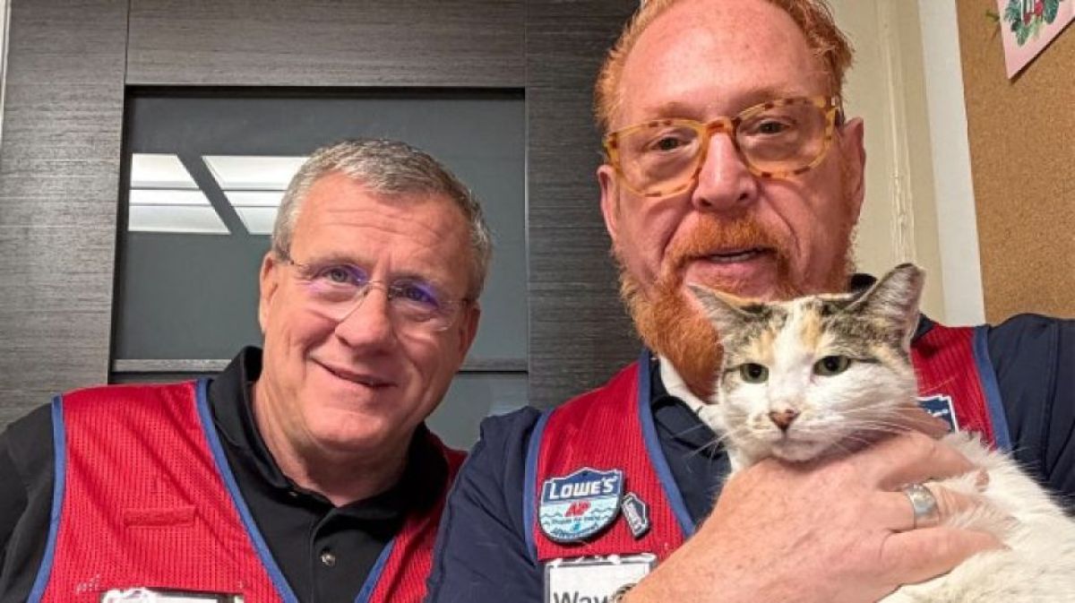 うれしいニュース！【続報】行方不明のホームセンターの猫が保護され3週間ぶりに帰還