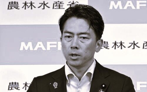 「これだけ不祥事起こしてもマスコミが小泉進次郎を叩かないの異常すぎない？」