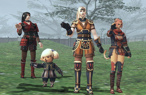 『ファイナルファンタジー11』が今になって人気復活！？2つのサーバーが混雑により新規キャラ作成停止に