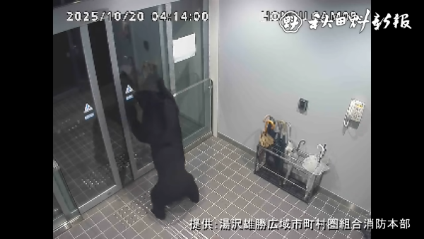 【悲報】クマさん、秋田県の庁舎に自動ドアから当たり前のように出入りする（動画あり）