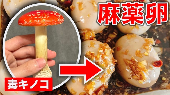 ユーチューバー「この毒キノコ、とんでもないうまみ成分を持ってるかもしれない。ちょっと出汁とって煮卵作ってみるわ」→結果・・・