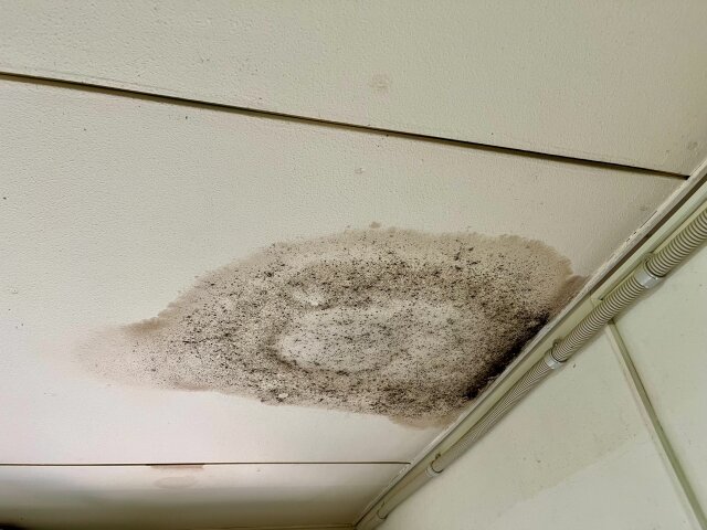 賃貸物件の天井の火災報知器から水漏れが発生 → 管理会社に電話するも上階の住人がヤバすぎて、進展せず