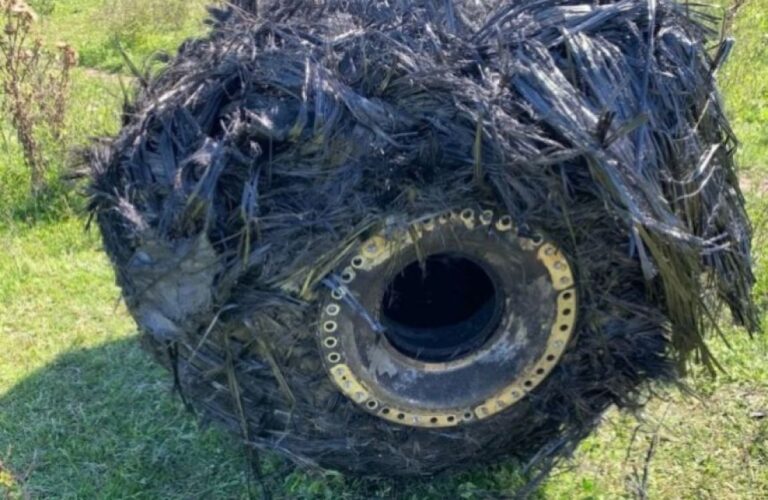 空から落下した毛むくじゃらの謎物体の正体は？（アルゼンチン）