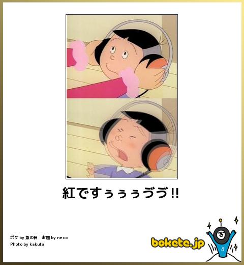 【癒し】笑える画像・素敵な画像を貼っていくスレ
