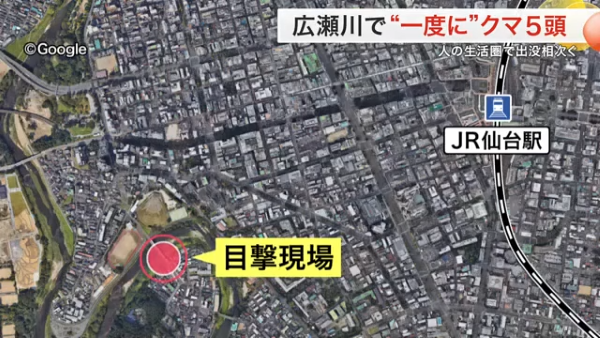 【注意喚起】クマ、ついに都会に侵略開始　仙台駅からわずか3キロの範囲にクマ5頭が同時に出現