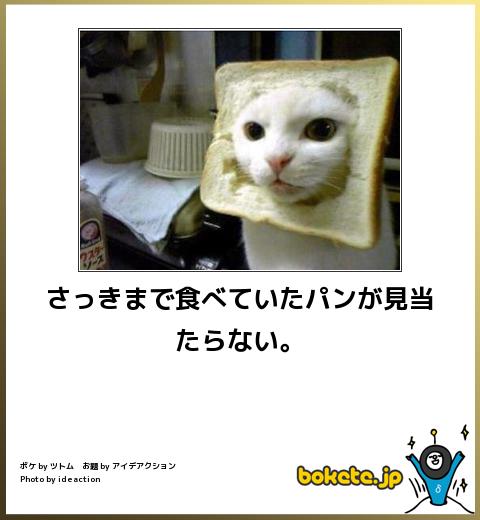 思わず吹いた画像、ネットの闇が深すぎるｗｗｗｗｗ