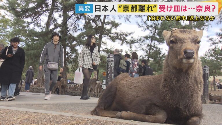 日本人旅行者「京都のホテルが高過ぎる（1泊20万円）から奈良に泊まったら19時で町が真っ暗でつまらん、なんだこれ！？」