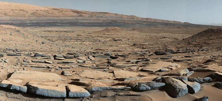 パン酵母は火星の極限環境で生き延びられる可能性、地球外生命の新たな手がかり