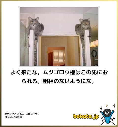 【即死級】1枚で呼吸困難になるレベルの吹いた画像だけ貼ってけｗｗｗ