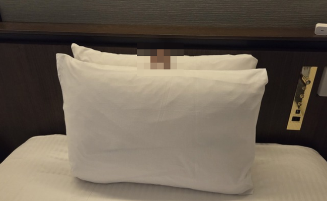 ホテルにいるX民「ぬいぐるみをベッドに置いてたら清掃員に寝かしておいて貰えるのかな？やってみよ → とんでもない状態にされて11万いいねｗｗｗｗｗ