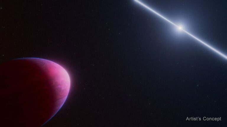 こ、これは！？奇妙な大気を持つ卵型の太陽系外惑星をジェイムズ・ウェッブ宇宙望遠鏡が発見