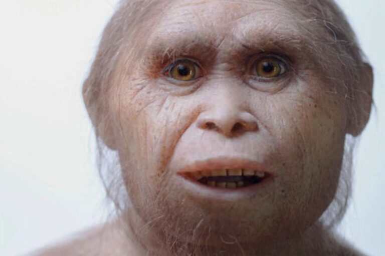 5万年前に謎の失踪を遂げた小型のヒト属「ホビット」に何が起きたのか？