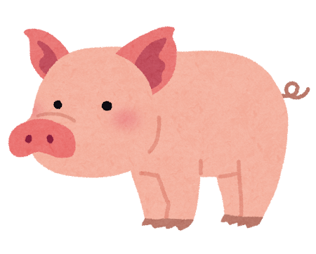 小学校で飼ったブタ「食肉センターに送るか」児童が涙の議論　決断下した元教諭「今も問い続けている」