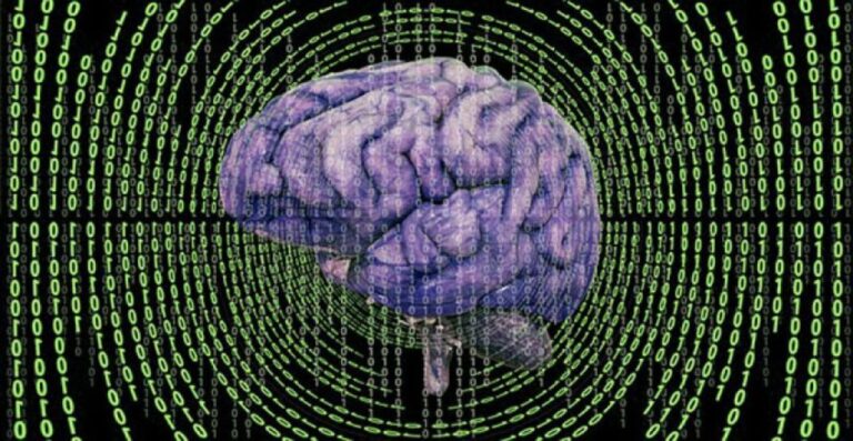 脳のルールが書き換わる：エピソード記憶の謎を解明。思い出と状況は別々に保存されていた
