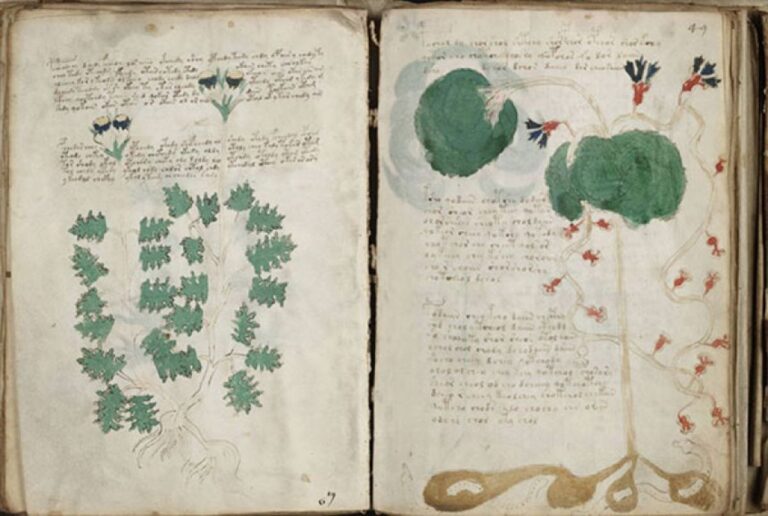 謎めいたヴォイニッチ手稿の文字列は、中世のカードゲームから生まれた暗号かもしれない