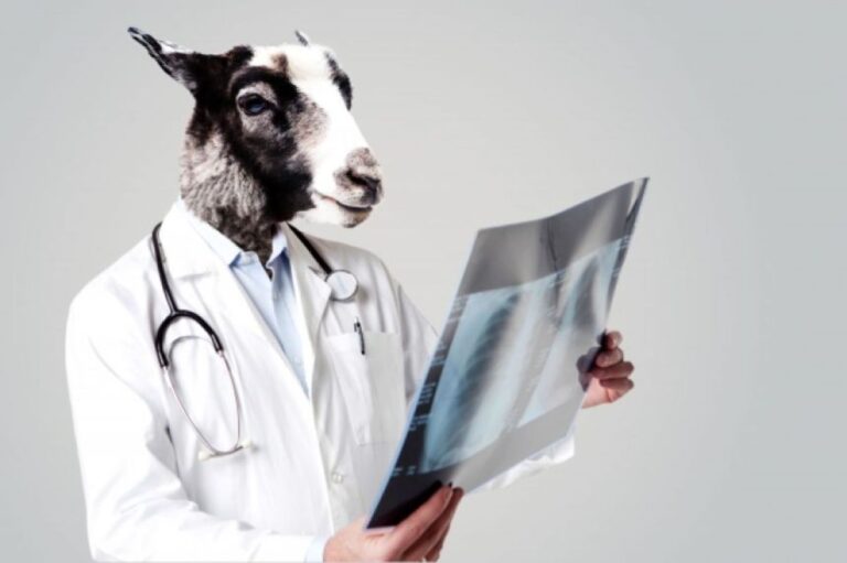 2025年、アメリカ人のデリケートゾーンの穴に詰まっていたものランキング